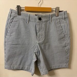 Hollister Blue and White Striped Men Shorts